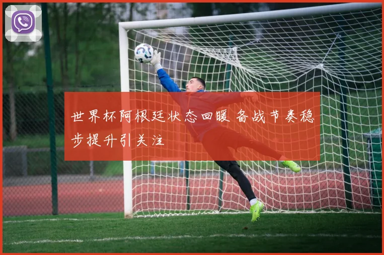 世界杯阿根廷状态回暖 备战节奏稳步提升引关注