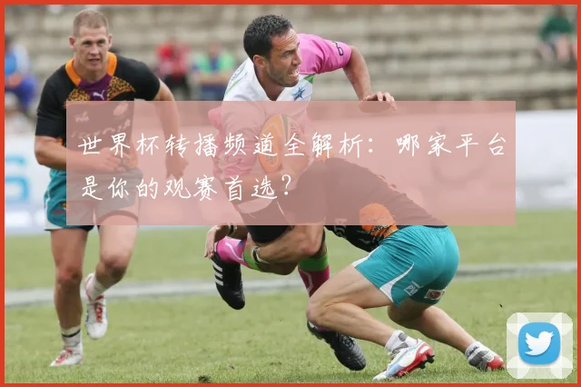 世界杯转播频道全解析:哪家平台是你的观赛首选?