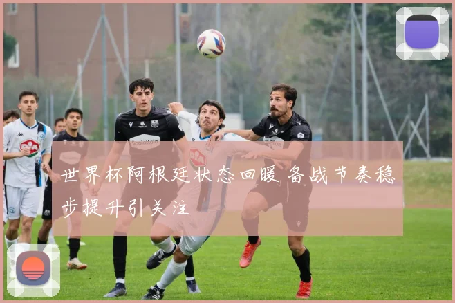 世界杯阿根廷状态回暖 备战节奏稳步提升引关注