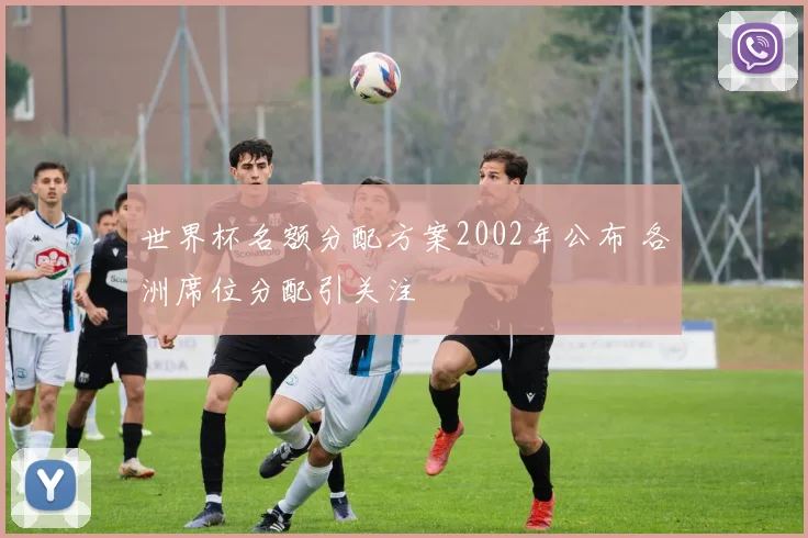 世界杯名额分配方案2002年公布 各洲席位分配引关注