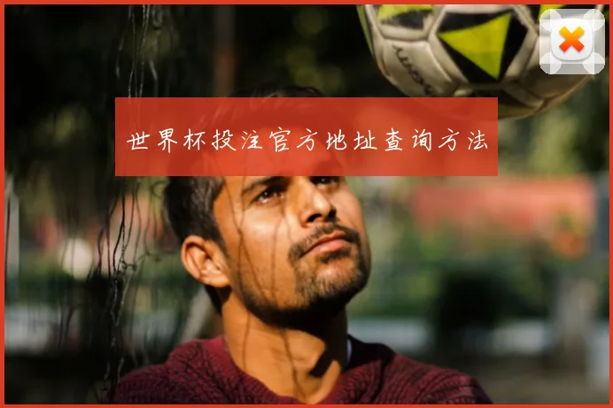 世界杯投注官方地址查询方法