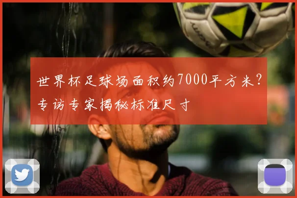世界杯足球场面积约7000平方米?专访专家揭秘标准尺寸
