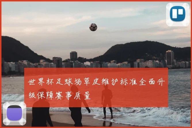 世界杯足球场草皮维护标准全面升级保障赛事质量