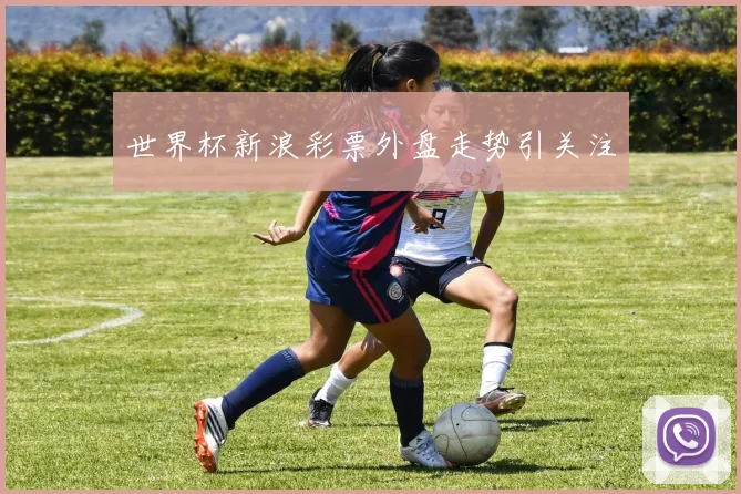世界杯新浪彩票外盘走势引关注