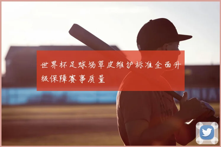 世界杯足球场草皮维护标准全面升级保障赛事质量