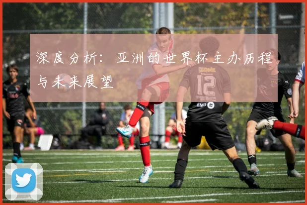深度分析:亚洲的世界杯主办历程与未来展望