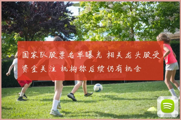 国家队股票名单曝光 相关龙头股受资金关注 机构称后续仍有机会
