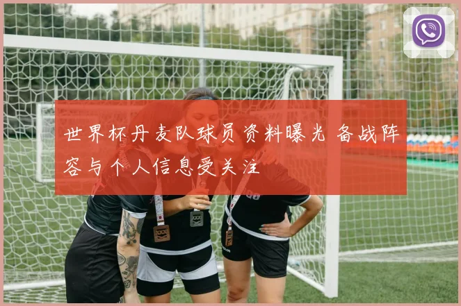 世界杯丹麦队球员资料曝光 备战阵容与个人信息受关注